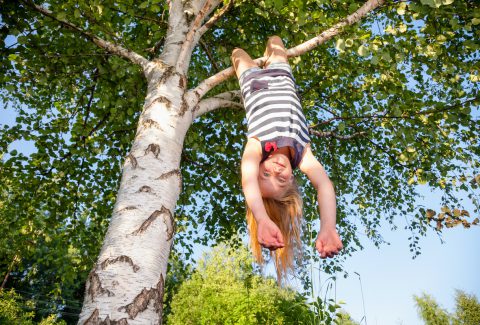 Happy girl hanging from a tree in a summer park